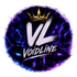 VoidLine - Dein FiveM Roleplay Server