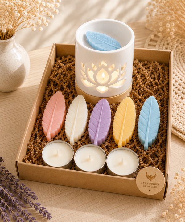 Coffret découverte