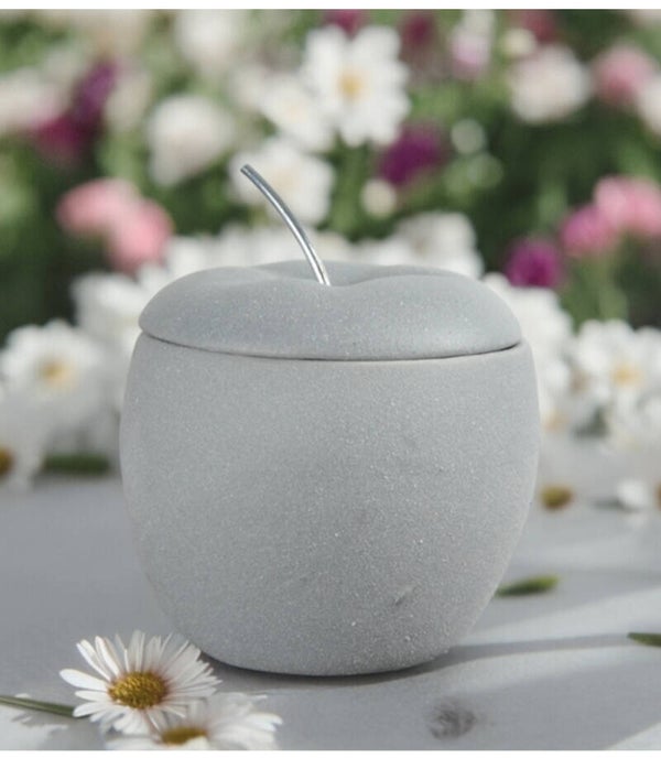 Coffret brûleur +10 fondants