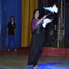 dsc_0124-standard.jpg