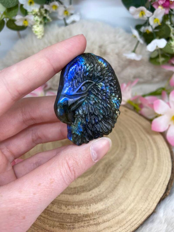 Labradorit Adlerkopf