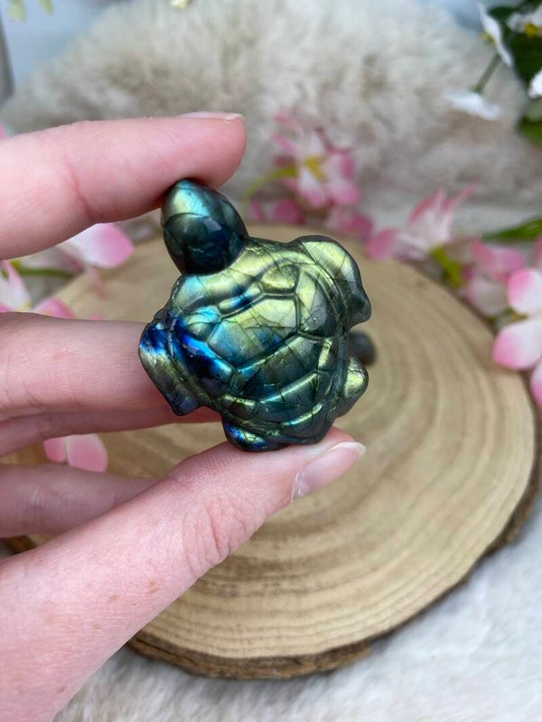 Labradorit Schildkröte