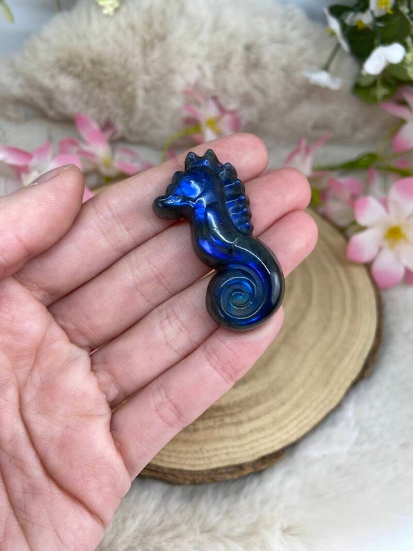 Labradorit Seepferdchen