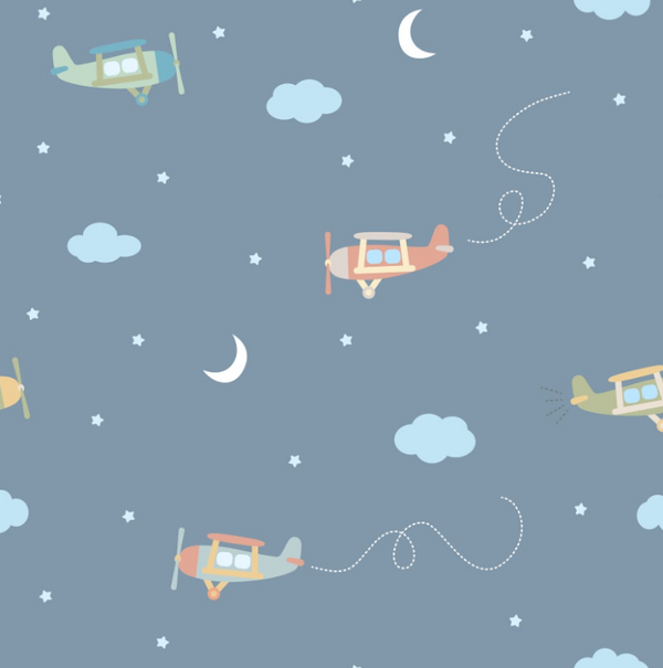 4657 Planes ALLOVERPRINT