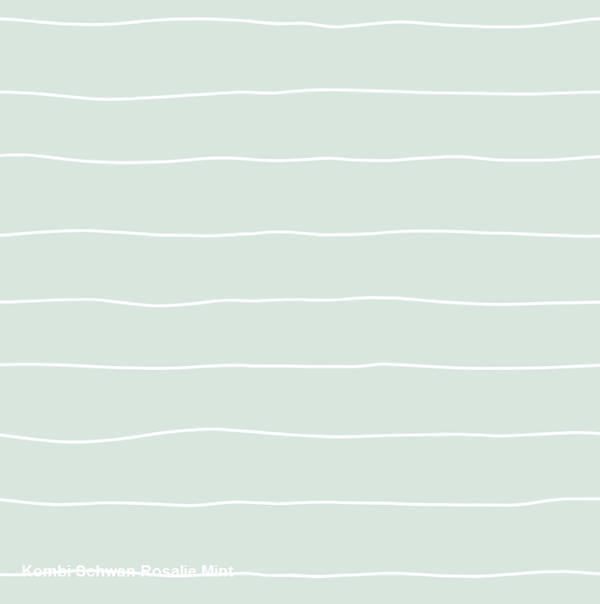 5002.1 Kombi zu Schwan Rosalie Mint von hin&weg