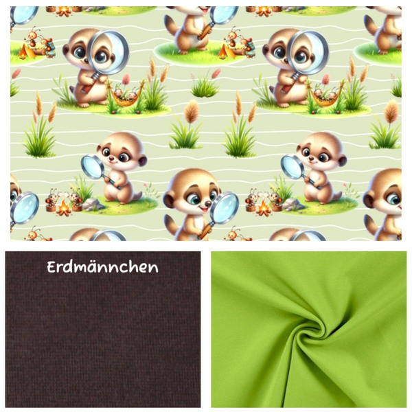 Nähmäuse-Box Raglanshirt Gr. 86/92