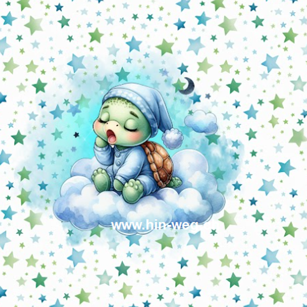 1626 Schildi Sleep Petrol PANEL MIT KOMBI