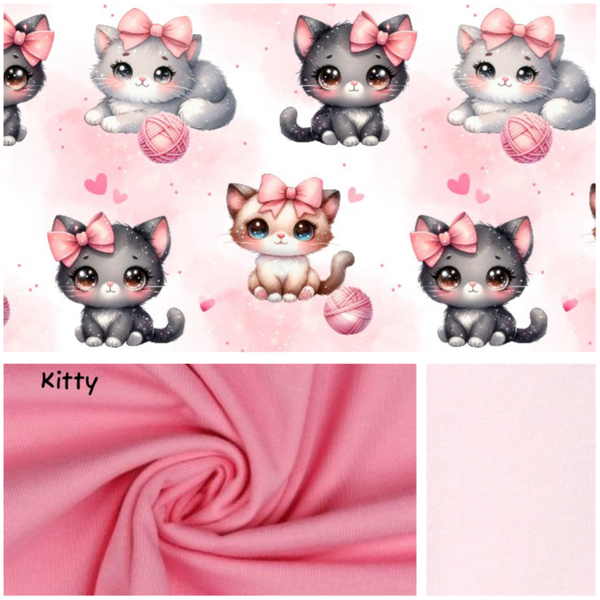 Nähmäuse-Box Raglanshirt Gr. 74/80