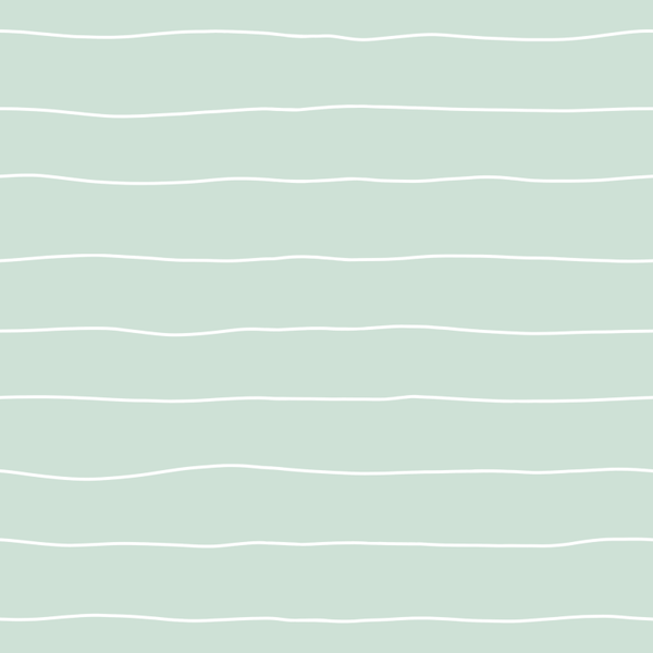 775.1 Kombi zu  Schildi  Mint Blumen