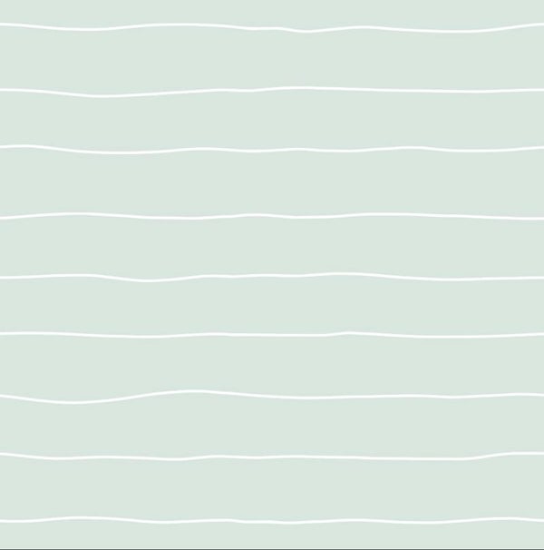 916.1 Kombi zu Elefantli grün