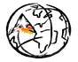 Network Ambiente