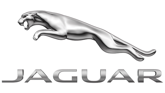 JAGUAR RADIO CODE