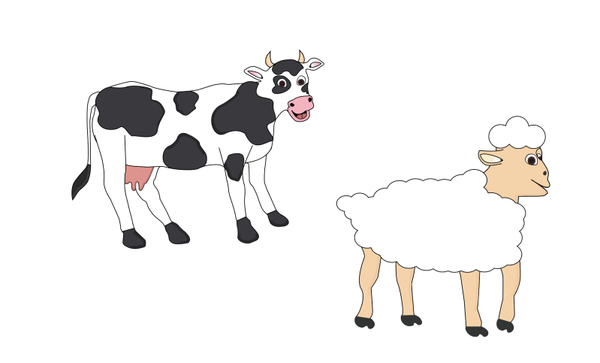 Animal illustration