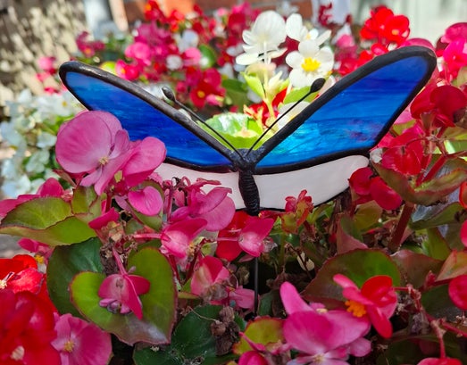 Glas in lood vlinder blauw wit Glazige Loodjes