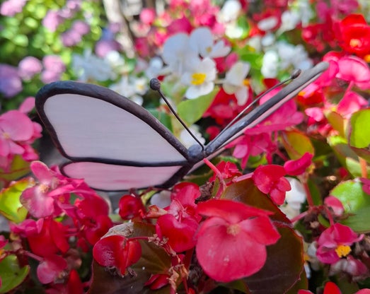Glas in lood vlinder wit roze Glazige Loodjes