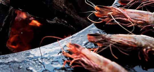 OFYR Workshop ' Sea food '