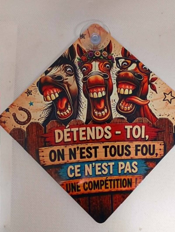 Plaque voiture " Humour "