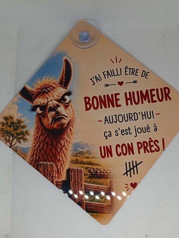 Plaque voiture " Humour "