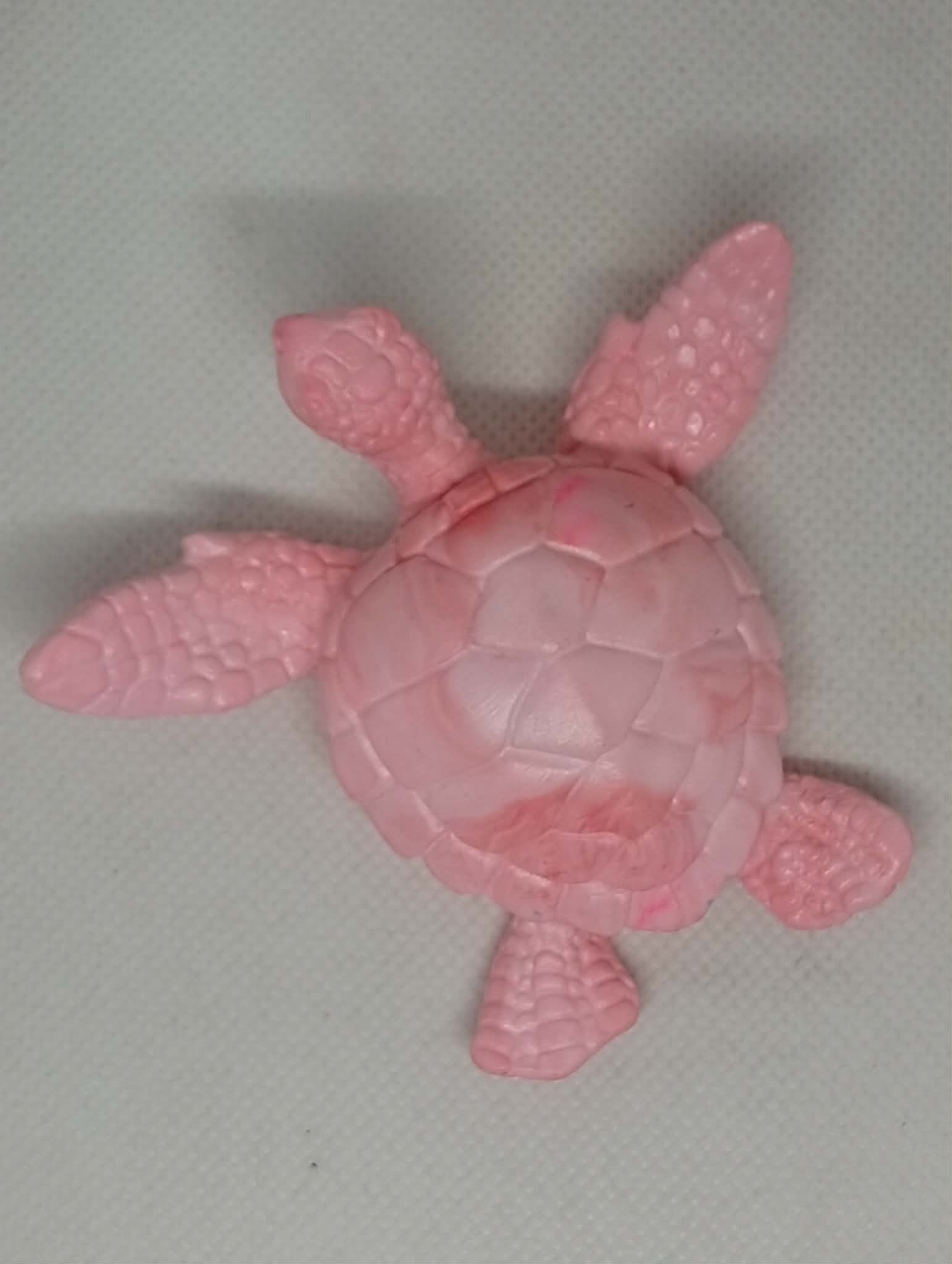 Rose des lagons