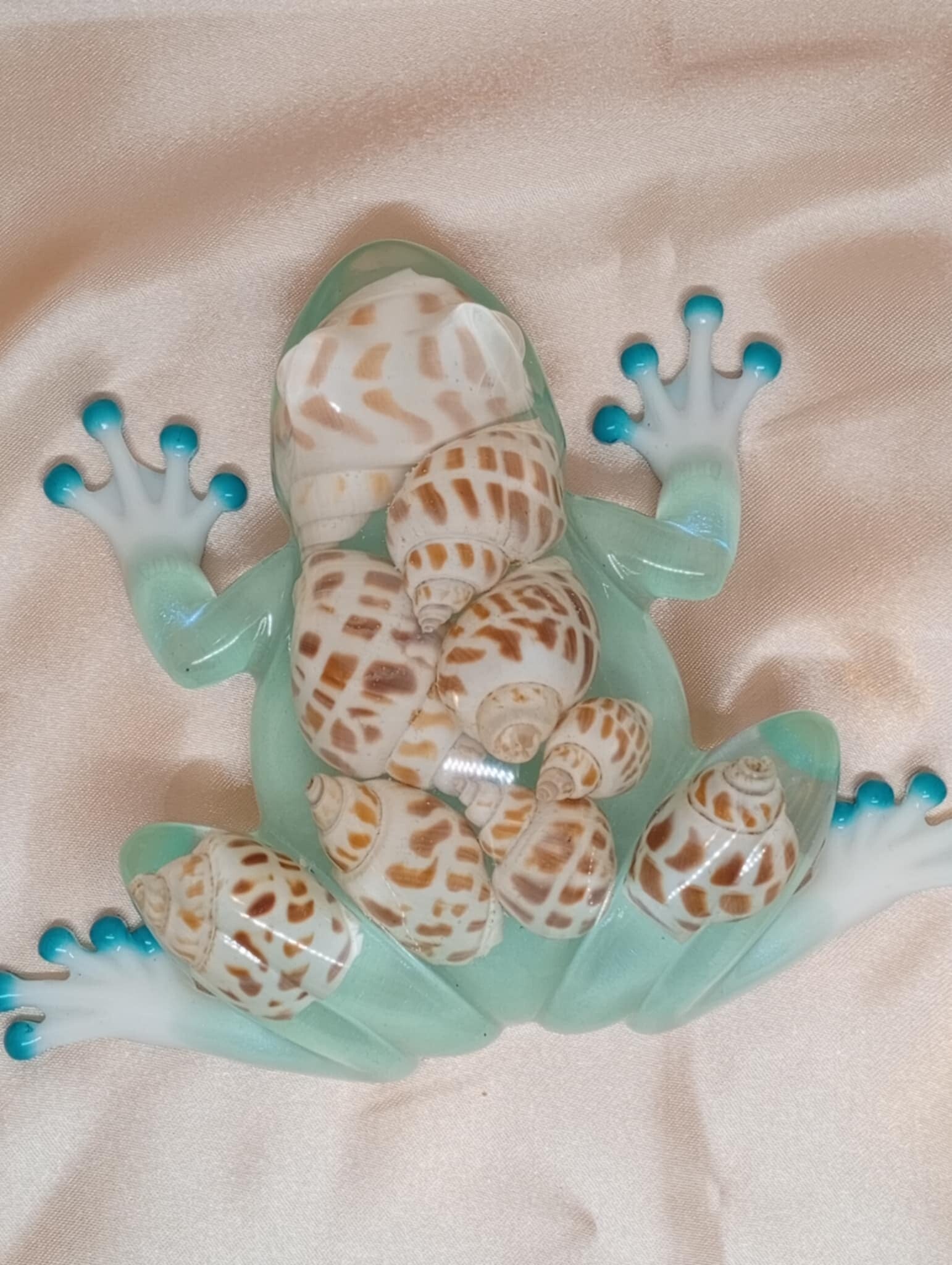 Grenouille aux coquillages