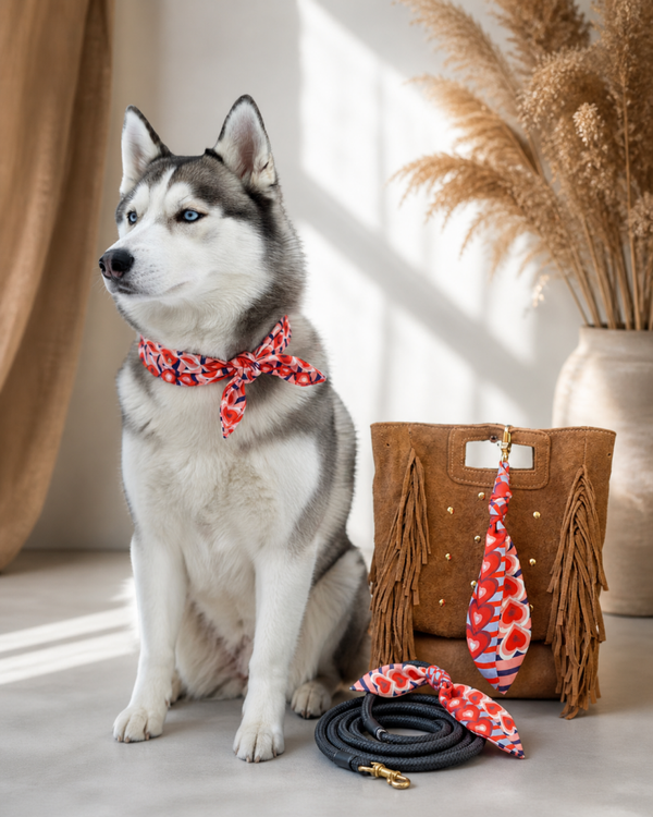 My dog & me | dog bandana & tashanger