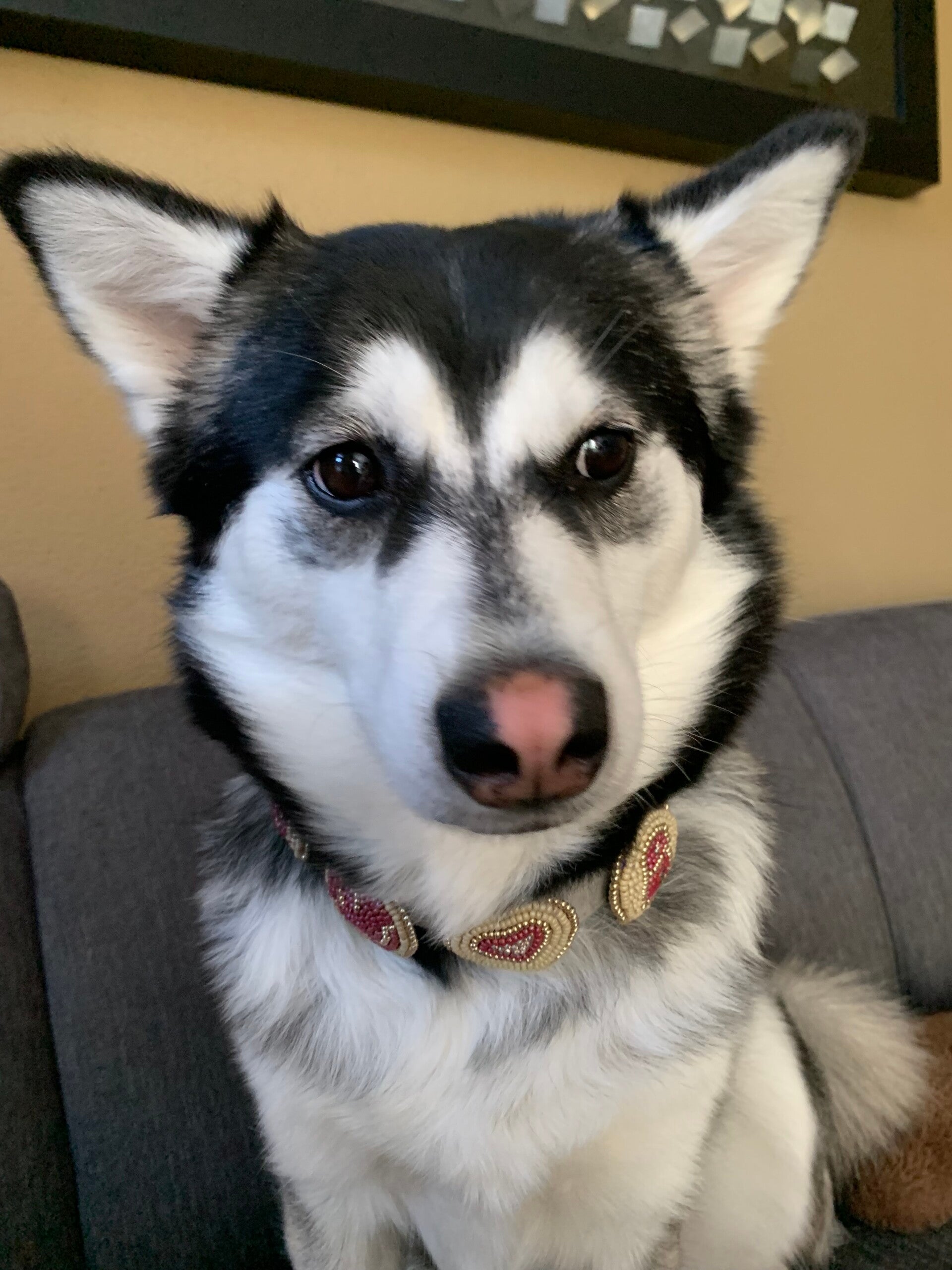 Blush & gold - Sun Charm