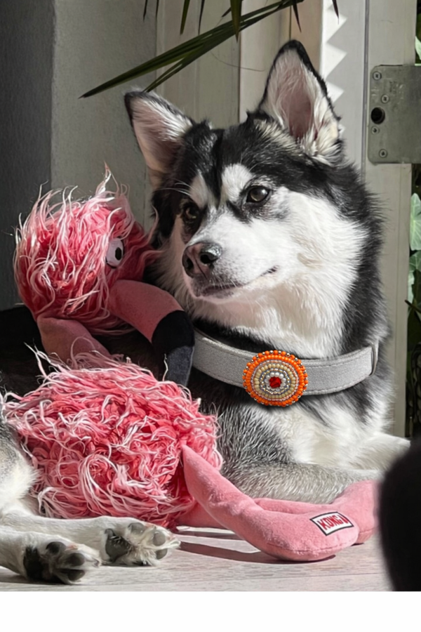 Mandarijn & gold - Boho Sunset Charm