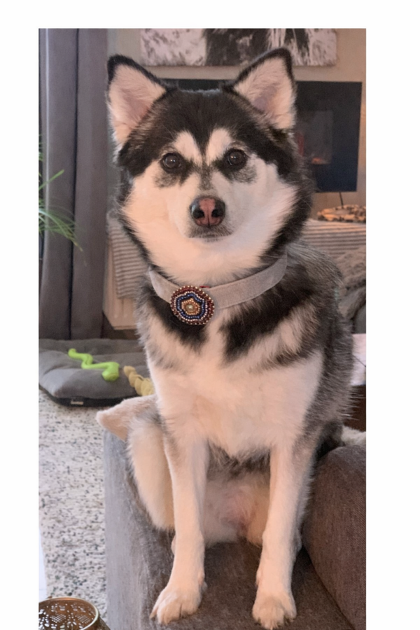 Mandarijn & gold - Boho evening sunset