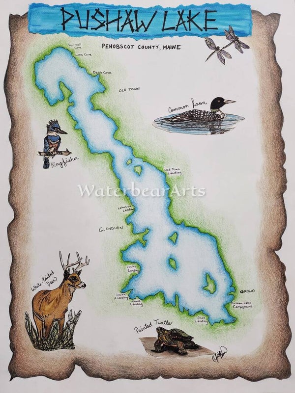 Pushaw Lake (blue/brown), Maine Map