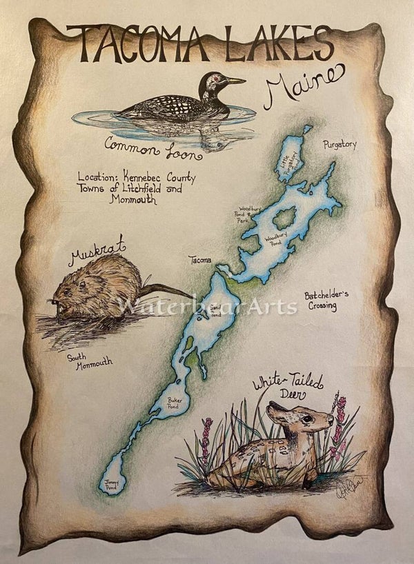 Tacoma Lakes, Maine Map