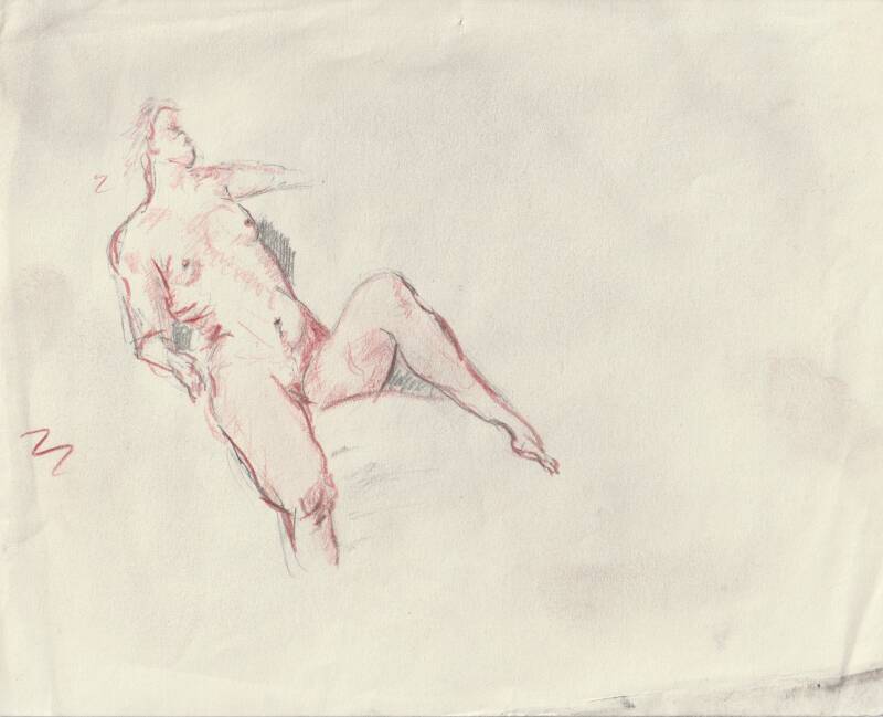 scan-29-standard.jpg