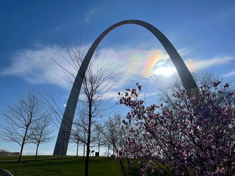 Boy Scout Troop 488 visit St. Louis Arch