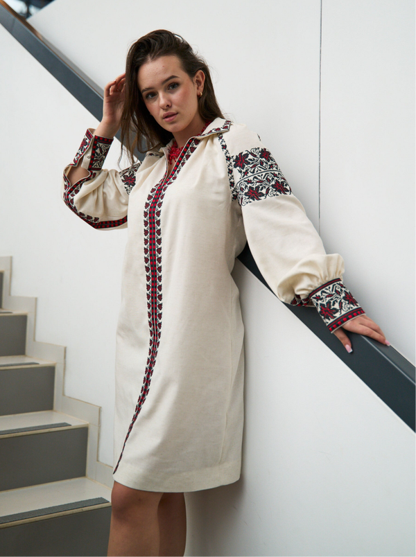 Embroidered long sleeve Ukrainian dress. Drohobych ornament
