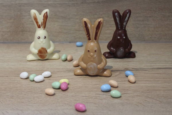 Moulage Lapin 50 gr