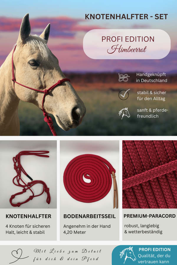 Knotenhalfter-Set PROFI EDITION - Farbe: Himbeerrot
