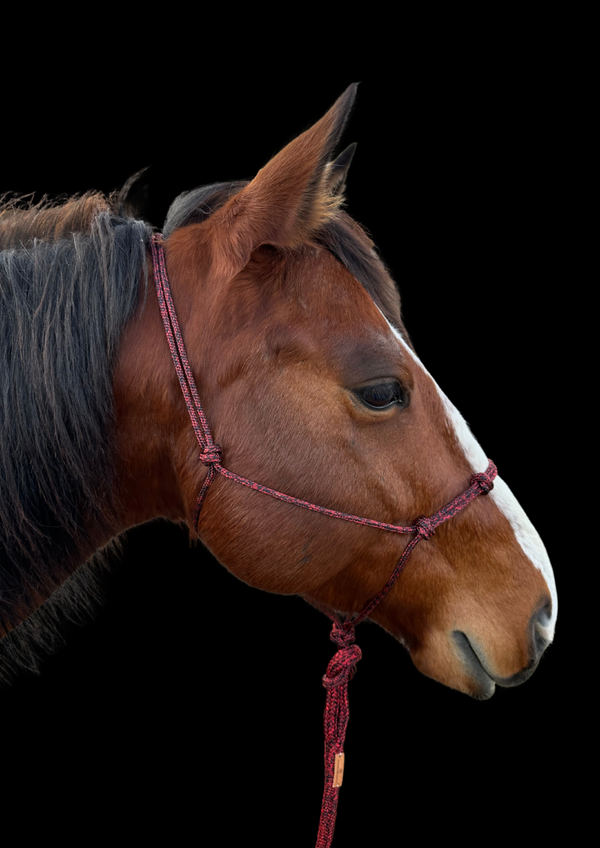 Knotenhalfter PROFI EDITION - Farbe: Red Diamond