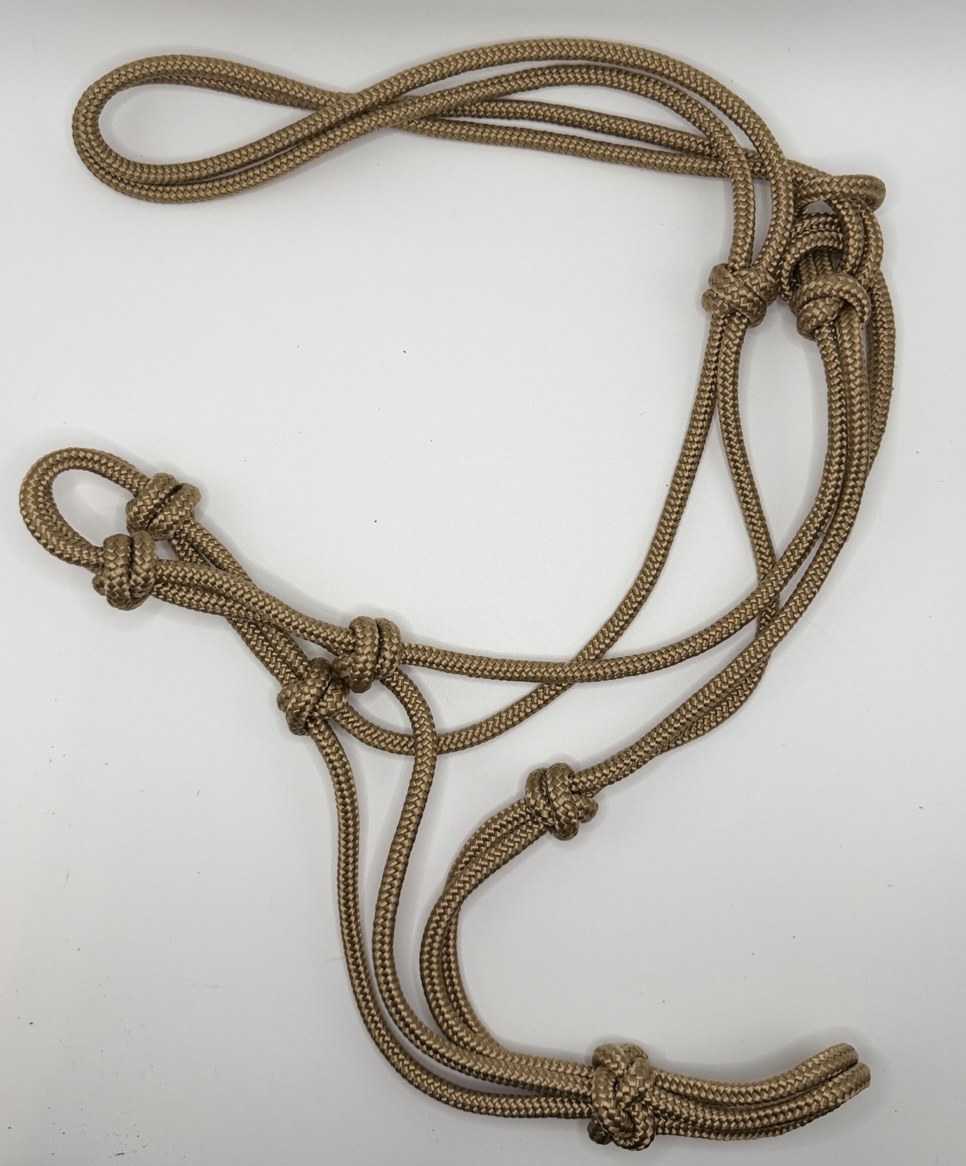 Knotenhalfter-Set PROFI EDITION - Farbe: Gold