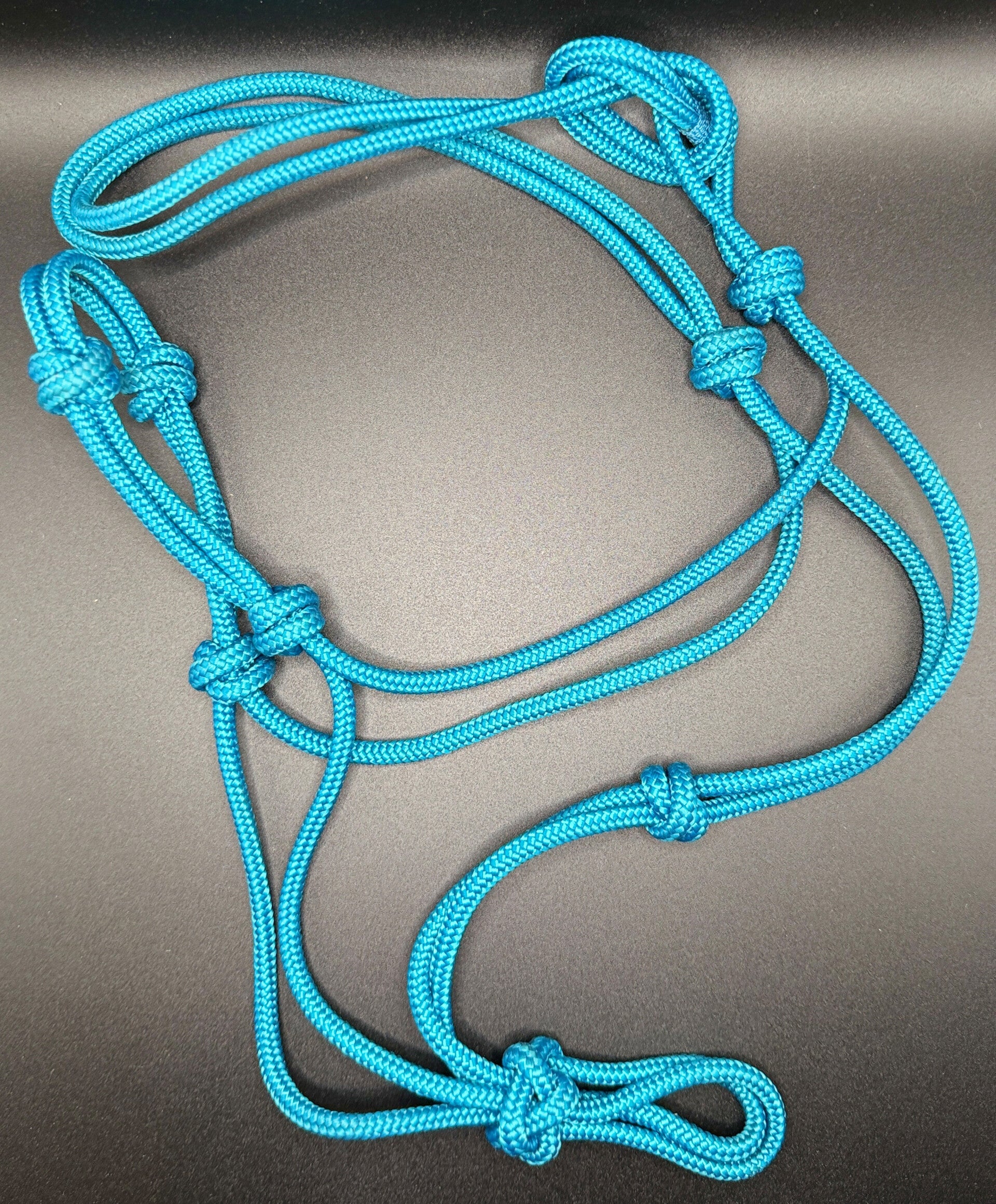 Knotenhalfter-Set PROFI EDITION - Farbe: Meerblau