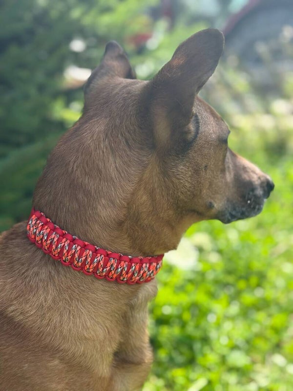 Paracord-Halsband „Feuerherz“