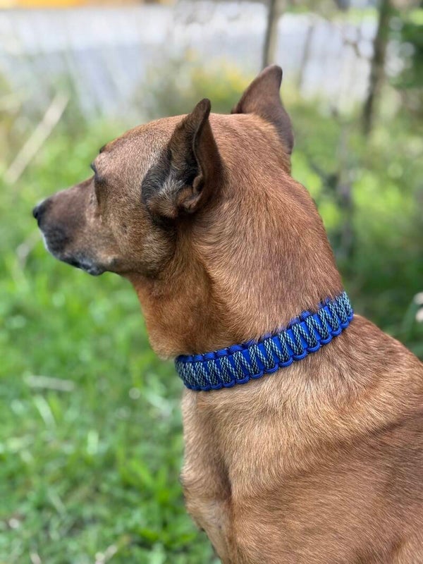Paracord Halsband "Blue Mountain"