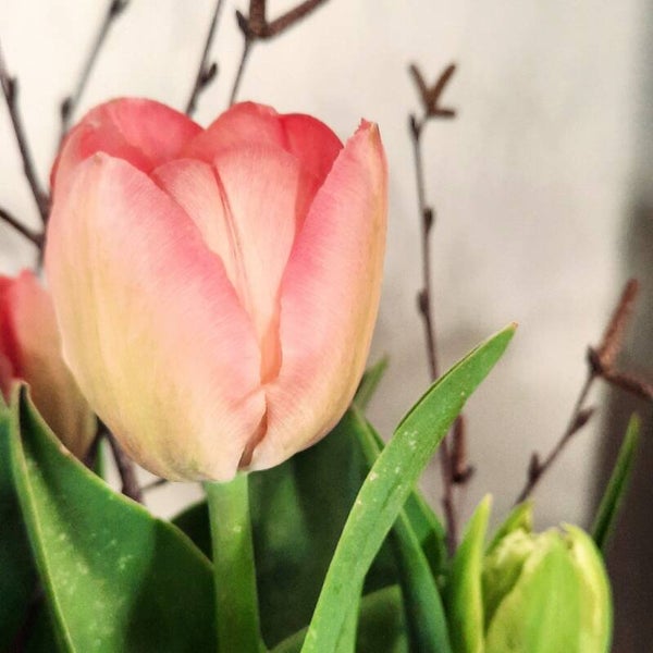 DIY Bloemenbundel van de maand - April
