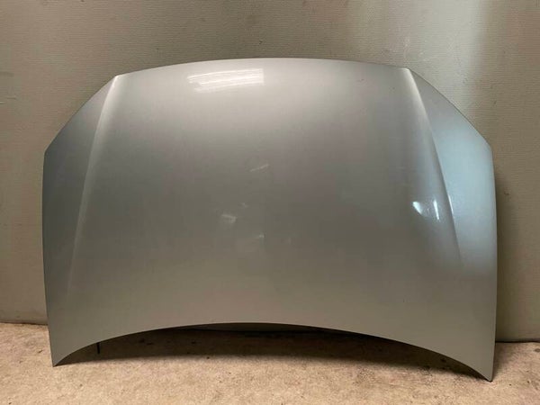 Motorkap Volkswagen Polo 2009 Bleumotion