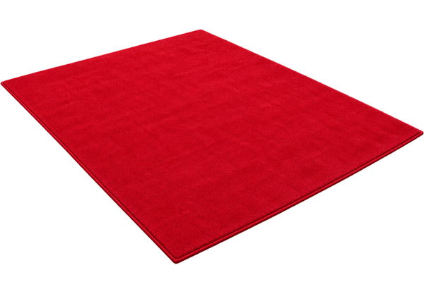 Area Rugs & Pillows