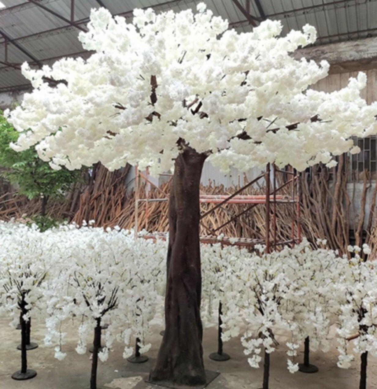 Elegant Trees