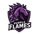 Purple Flames Horseball Team