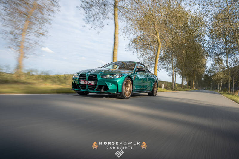 _dsc2010-standard.jpg