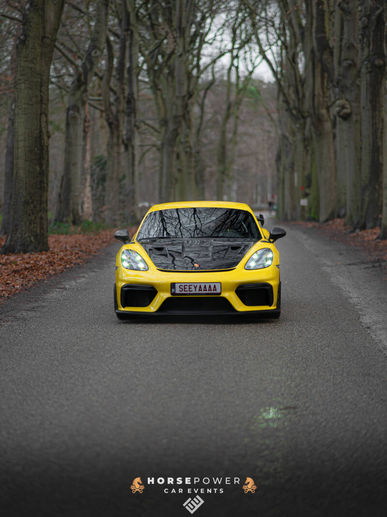 _dsc6501-standard.jpg