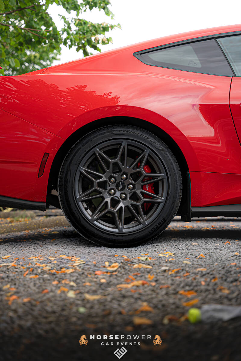 _dsc8187-standard-lf6kex.jpg
