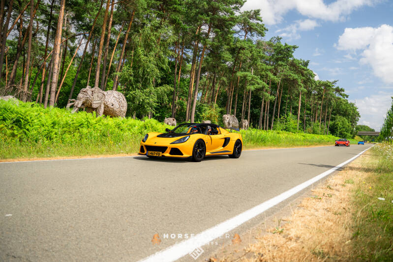 _dsc8373-standard.jpg