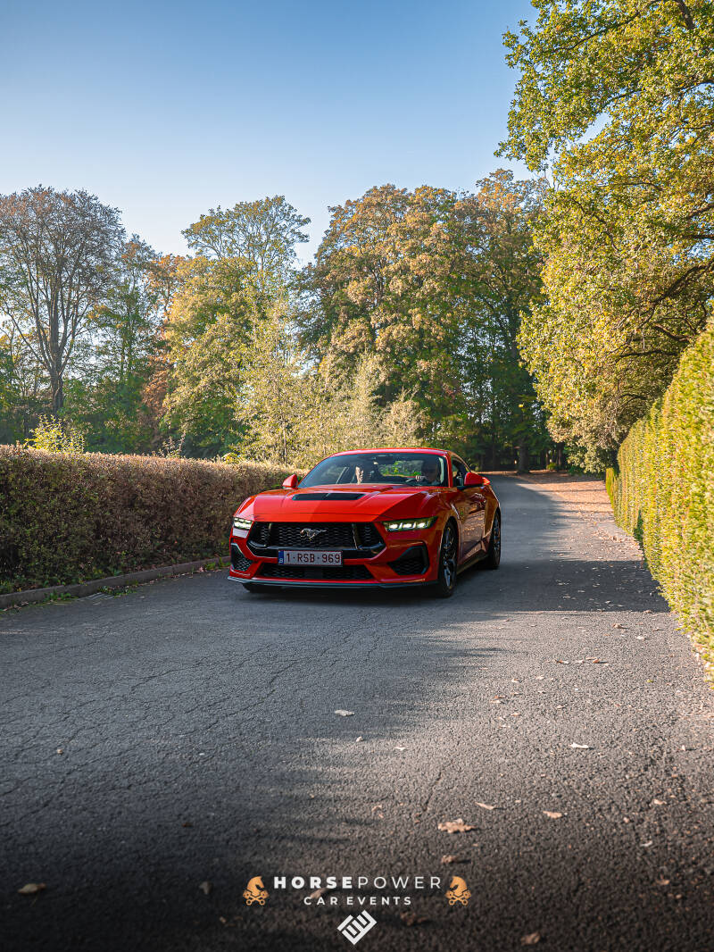 _dsc8946-standard-mhh2zs.jpg